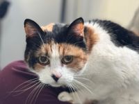 Seniorin Piper: weniger Aktion, mehr Schmusezeit