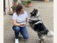 Tierphysiotherapie im Umkreis Limburg Weilburg für Hunde, Katzen und Ziegen
