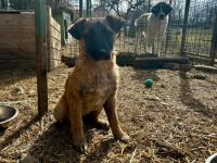 Charakterstarke Erika sucht gleichgesinnte Menschen