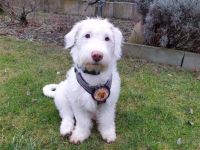 Withey ist bereit für sein neues Leben