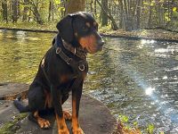 Amon sucht aktive Menschen