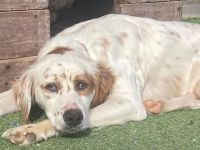 Ewen * Yann * Chloe * Margot * Grace