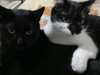 Traumpaar Elysia&Marcel