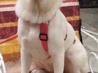Indi, - 10/25 - Zukunft gesucht!