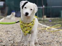 Heavenly - ein kleiner Stern auf der Suche nach ihrem Himmel auf Erden