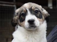 Lea will dein Leben auf den Kopf stellen