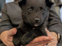 Kleine Seele Marina will umsorgt werden