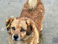 Prinz Paris sucht sein Für-immer-Zuhause