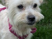 Casper sucht sein Für-immer-Zuhause