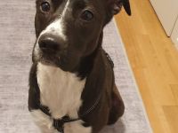 Cellie sucht ein ländliches Zuhause