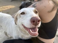 Goldstück Luny sucht Familienanschluss