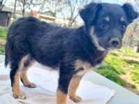 Kleine Lorea möchte ihr Köfferchen packen