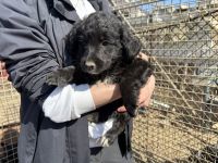 Lieblingsmensch für Malvin gesucht