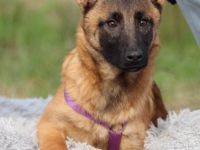 Kessy unsere große Schönheit...