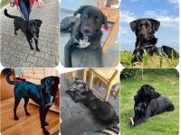 Mila möchte nun gerne ankommen, hat doch schon so viel gelernt!