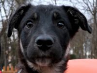 Lebensfroher Sio möchte deine Tage heller machen