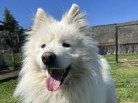 Über Yuki – Jungspund