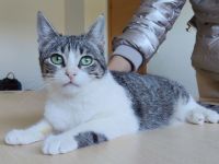 Die süße Margarita wünscht sich eine liebe Familie