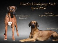 Lafiya Kyau Hali Mila