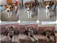 Eleni – bereit für gemeinsame Abenteuer