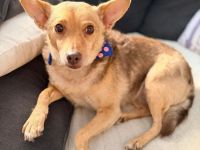 Roya sucht ihre liebe Familie....