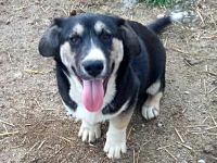 Agador, lieb und freundlich