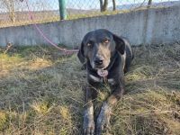 Julia - leise Seele sucht sicheren Hafen