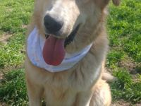 Aria und Ira, 12/24 - 2 Pechvögel auf der Suche nach dem Glück