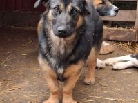 Apple sucht ihr Für-immer-Zuhause