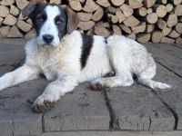 Gibst du Freyja eine Chance?!