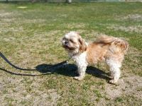 Nele, sehr lieb und freundlich