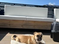 Mops Mix