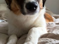 Peggy, 11/25 - süßes Mädel wartet in 40723 Hilden