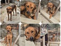 Terry – bereit fürs Abenteuer Familie