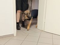 Schenkst du Tessa ein neues Leben?