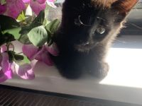 Wir dürfen ausziehen 🥰