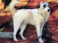 Ares, super nett und freundlich