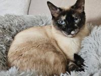Mila, Einzelprinzessin
