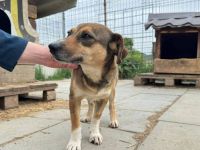Schüchterne kleine Diane sucht Sicherheit