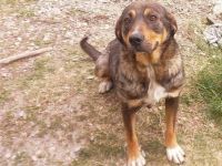 Liebenswerte Yuuki sucht Familienanschluss
