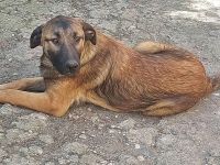 George und Mali, freundlich und menschenbezogen