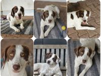 Snow White – liebevolle Mama