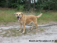 Maja, Energie und Liebe