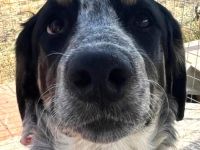 Aaron, Adora,  03/26 - warten auf eine Zukunft
