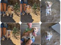 Freddy – kleiner Kokoni auf der Suche nach einem Neuanfang