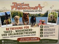 Hundepension Tanjas Pfotentreff