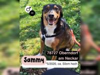 Sensibler SAMMY verliert sein Zuhause