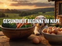 Ernährungsberatung für Hunde
