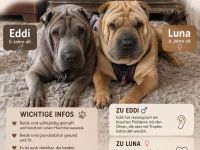 Eddi und Luna