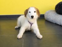 Aleika unsere kleine Schönheit..